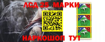 дмт Кандалакша