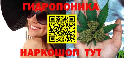 дмт Кандалакша