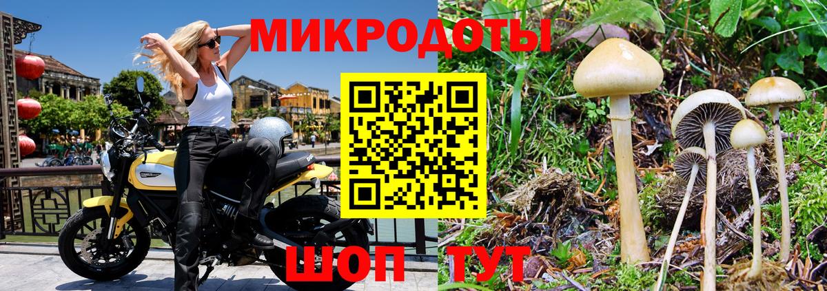 Галлюциногенные грибы Magic Shrooms Назарово