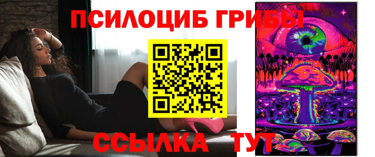 Назарово  Псилоцибиновые грибы мицелий  Вход с VPN 