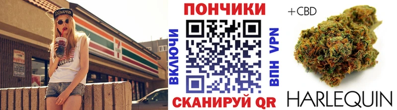 Каннабис сатива  закладка  Назарово 